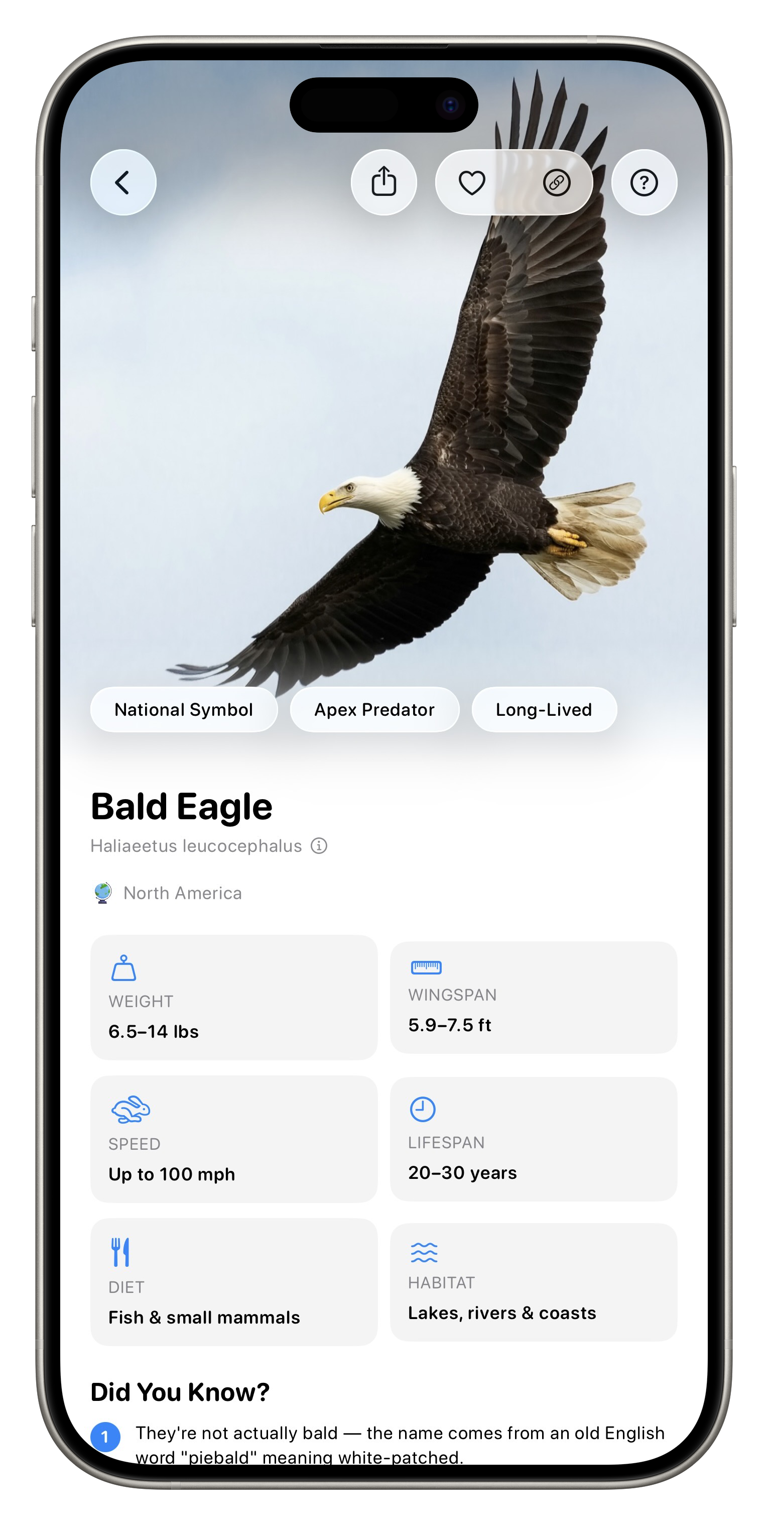 Fauna App Screenshot